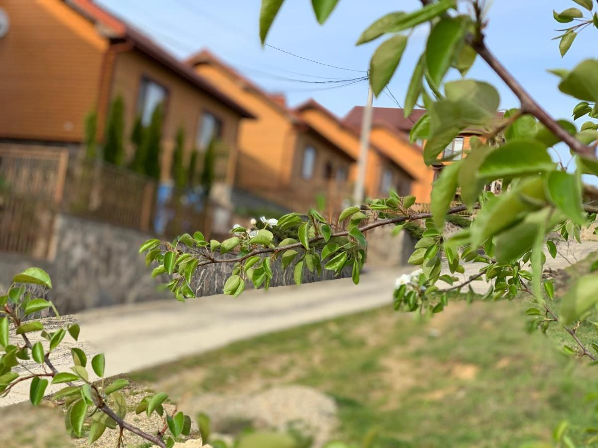 Mini Hotel Solnce Karpat 波利亚纳 外观 照片